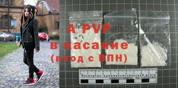 ПСИЛОЦИБИНОВЫЕ ГРИБЫ Новозыбков