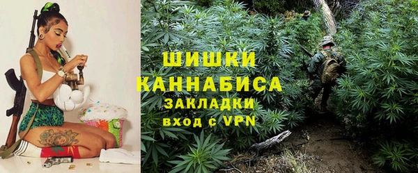 крисы Новокубанск